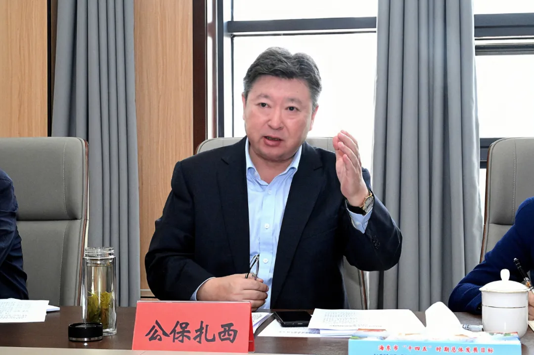 公保扎西在海东市调研时指出坚定发展信心，形成工作合力推动青海高原康养事业迈向新高度